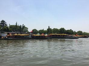 苏州山塘街吃瓜,夏日消暑吃瓜，古巷风情尽享清凉时光